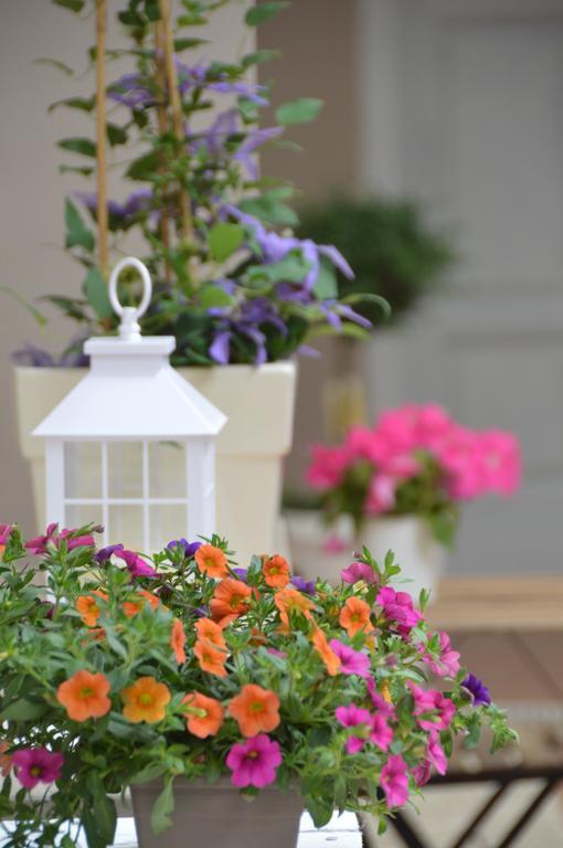 Bed & Breakfast Mediterranea Sea House 3*